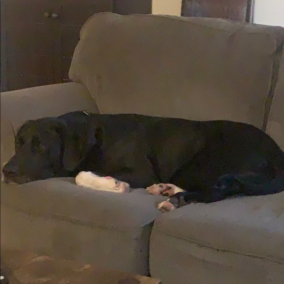 Meet your Posher, Melissa - Picture 1 of 1